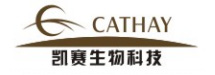 成功案例